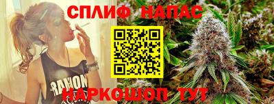 спайс Краснодар